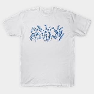 Navy blue seaweeds T-Shirt